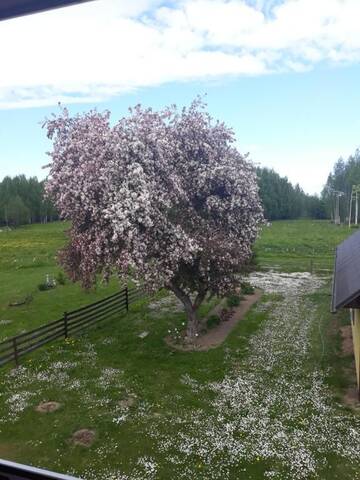 Фото номера Дом для отпуска Загородные дома Raja Country House г. Koldamäe 9